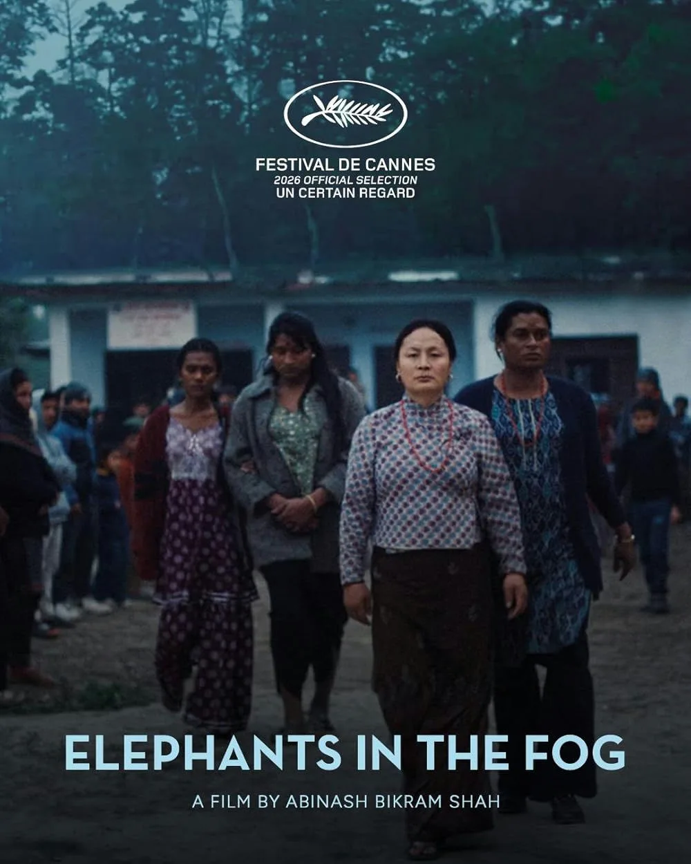 Elephants in the Fog