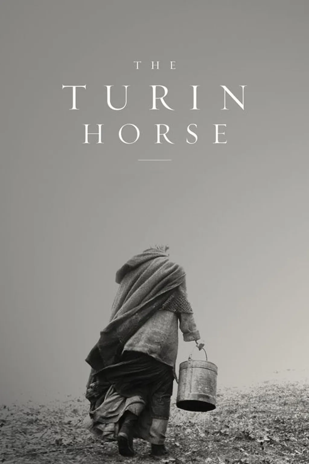 The turin horse