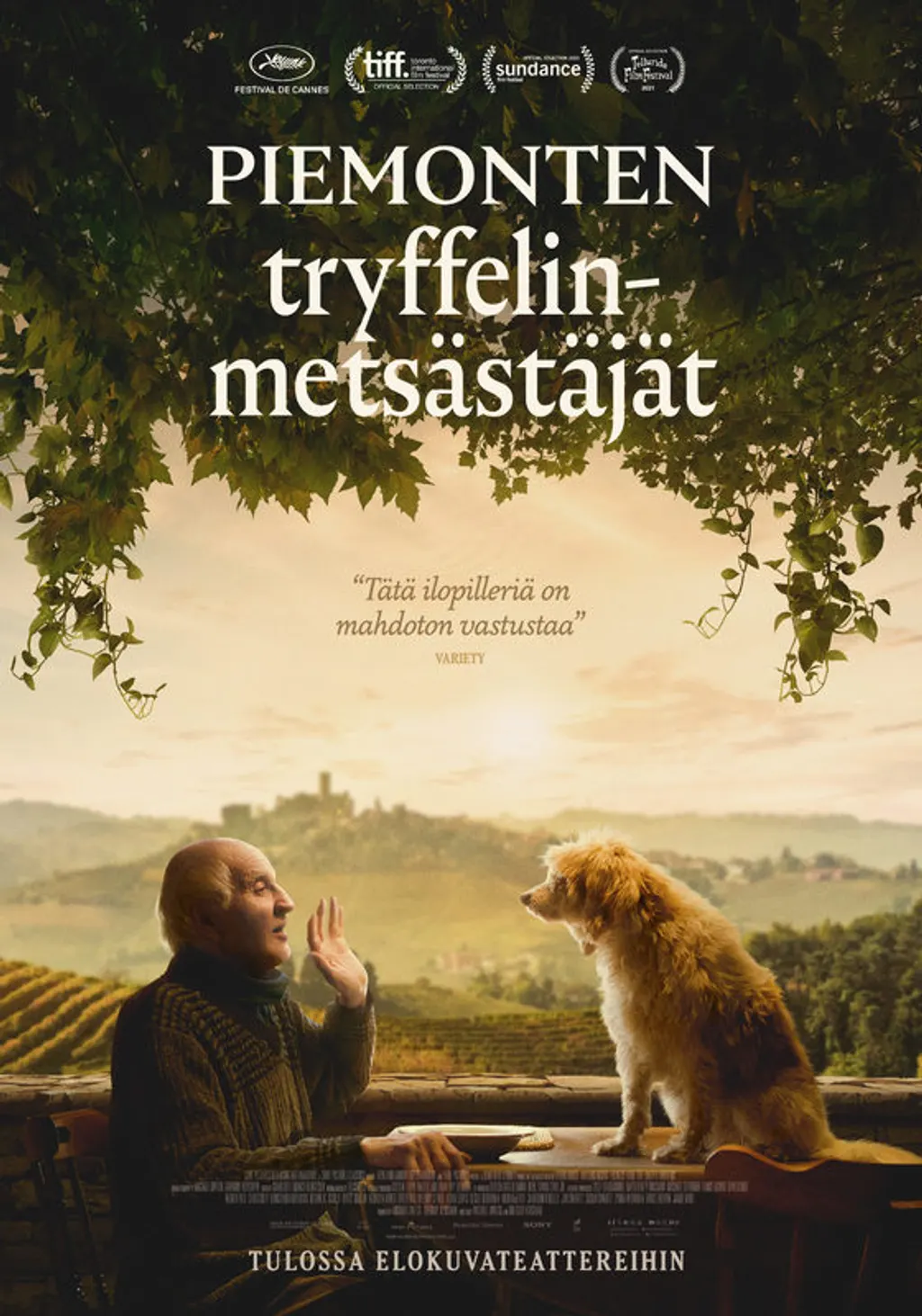 Piemonten tryffelinmetsästäjät
