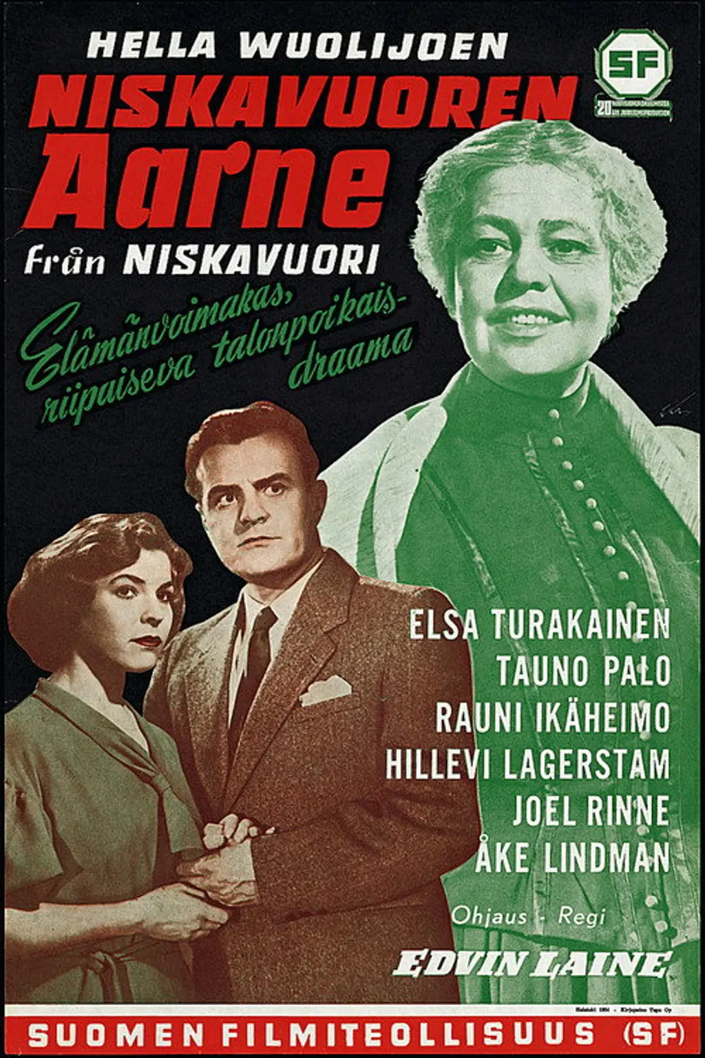 Niskavuoren aarne