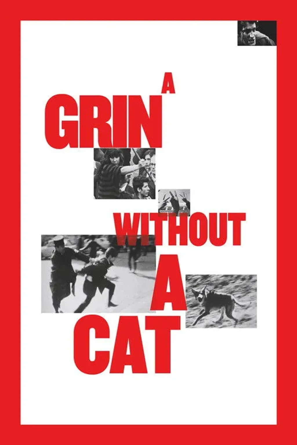A grin without a cat