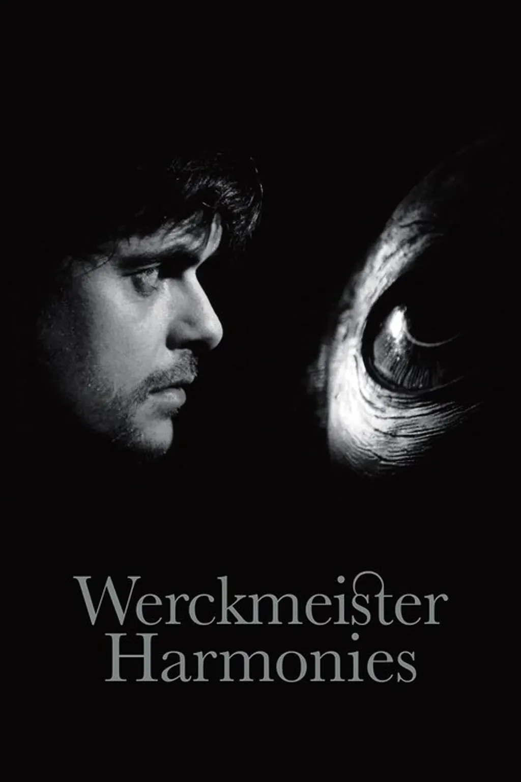 Werckmeister harmonies